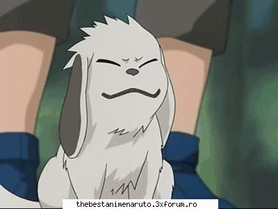 Kiba si Akamaru ~poze~ - SaKuRa HaRuNo^^ - Kiba Inuzuka